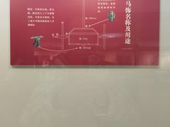 -安阳博物馆