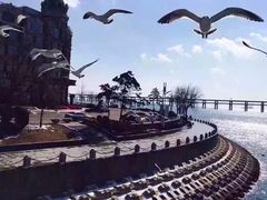 -川旺角川粤融合菜•海景餐厅(星海广场店)