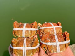-君豪蟹都·湖景·农家乐(蟹舫苑店)