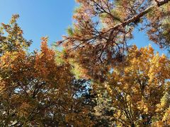 -长春公园(普阳街道)