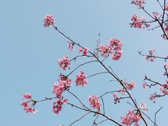 -狐尾山公园