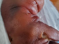 -济南孟家扒蹄店