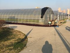 -菊园百果园