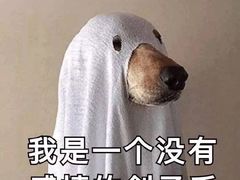 -拾味中点(泺文路店)
