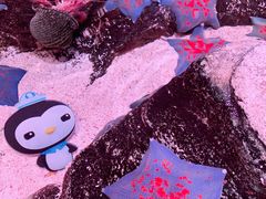 -沈阳海洋探索中心