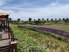 -丹世红酒庄·烧烤·团建·婚礼·水上运动