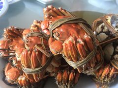 -芸海阁·农家私房菜(沙家浜景区出口店)