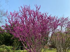 -合肥三国新城遗址公园