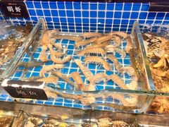 -加餐海鲜自助(宝龙一城店)