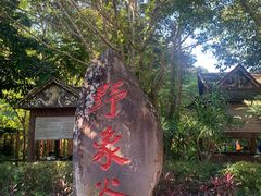 -野象谷景区