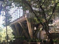 -香港大学