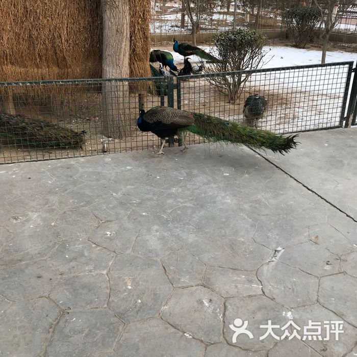 保定農業生態園