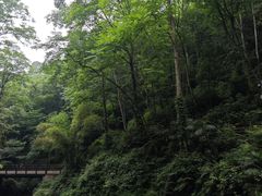 -青城山