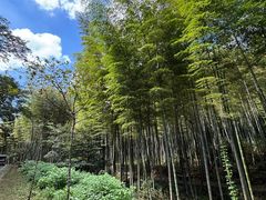 -黄公望隐居地