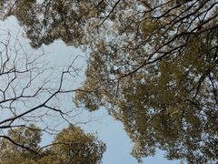 -上海方塔园
