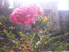 -山东大学(趵突泉校区)