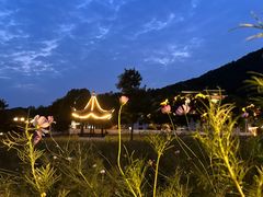 -南京老山国家森林公园