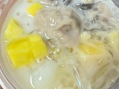 -凉凉海石花