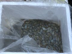 -芦潮港集贸市场