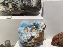 -重庆自然博物馆(新馆)
