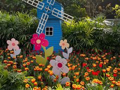 -南宫五洲植物乐园