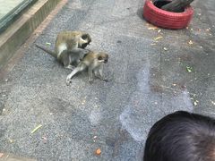 -无锡动物园·太湖欢乐园