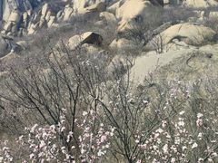 -北京凤凰岭