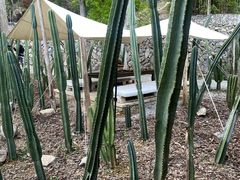 -MOJ coffee(瓯海泽雅水碓坑店)