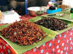 -席娜卡琳火车铁道夜市