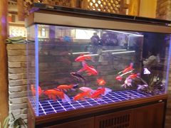 -来小酌·长安酒家(翠庭大厦店)
