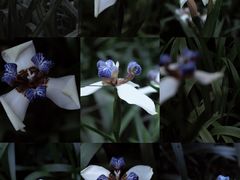 -广州珠江公园