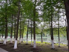-长广溪湿地公园