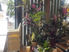 -gaga(深圳福田星河COCO Park店)
