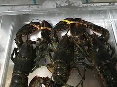 -青石桥市场北1-27号