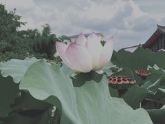 -莫催咖啡