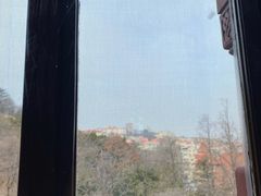 -青岛德国总督楼旧址博物馆