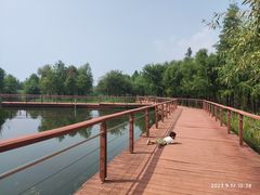 -贡湖湾湿地公园