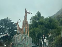 -长沙黑麋峰国家森林公园