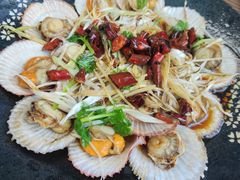-鲁前海沿儿