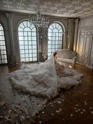 点击看大图 -青禾蒙娜丽莎婚纱摄影(武汉总店)