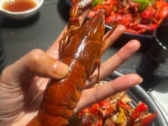 -红盔甲·小龙虾(人民广场店)