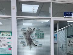 -瑞派·关忠动物医院·猫专科·犬专科(三环新城店)