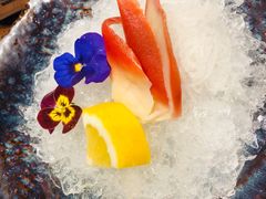 北极贝-晴季寿司(活力城店)