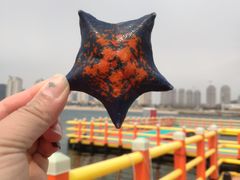 -旅顺留声机博物馆