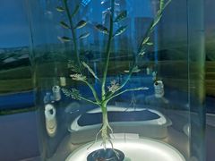 -辽宁古生物博物馆