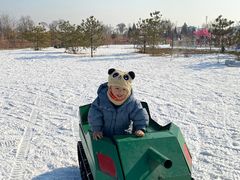 -绿野森林乐园冰雪季