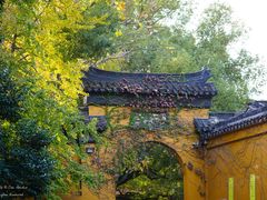 -西园戒幢律寺