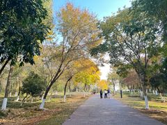 -盘龙城国家考古遗址公园