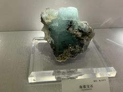 -湖南省地质博物馆