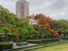 -华侨城湿地公园